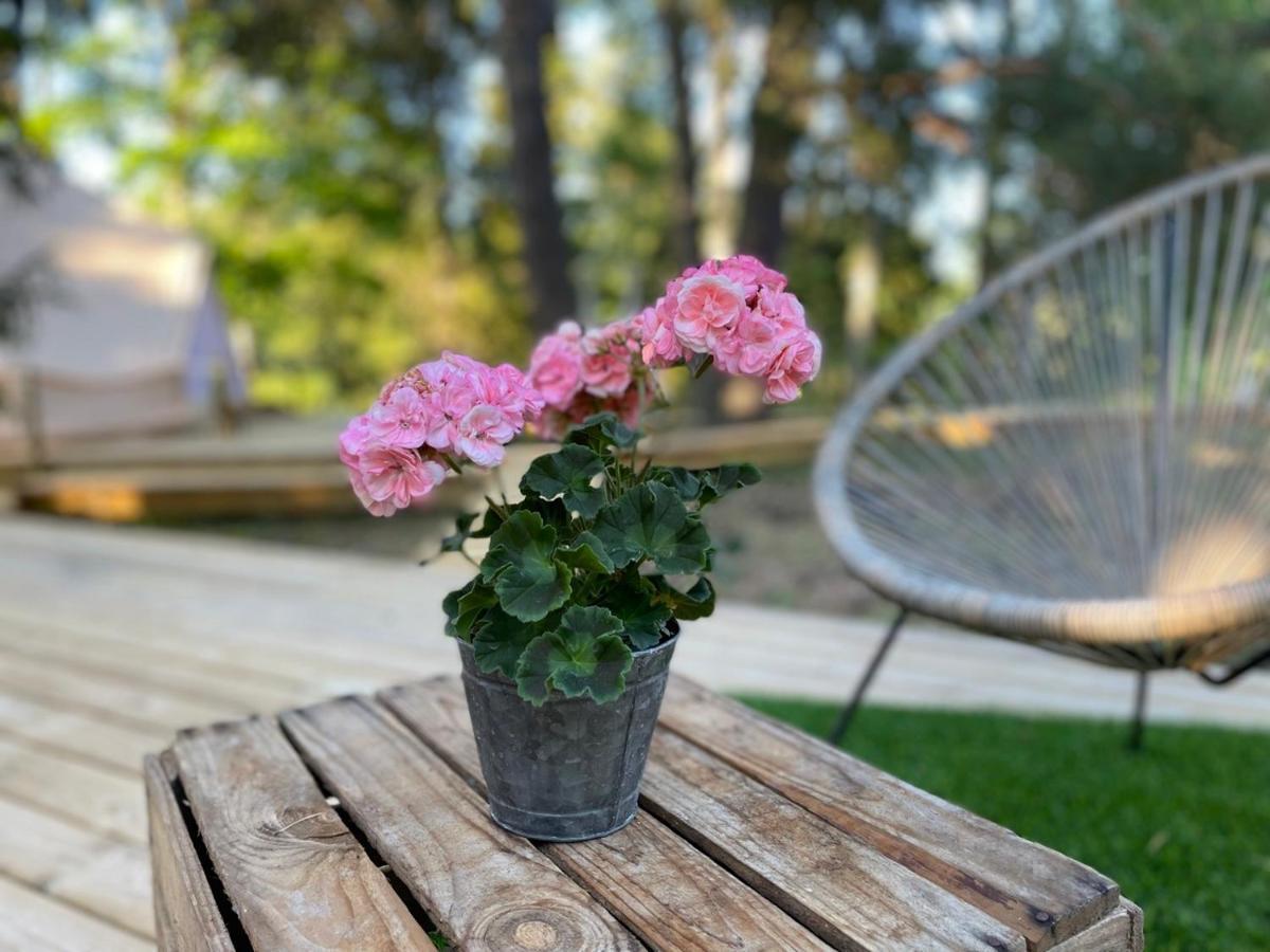 Koh Tenta A B&B In A Luxury Glamping Style Mariefred Zewnętrze zdjęcie